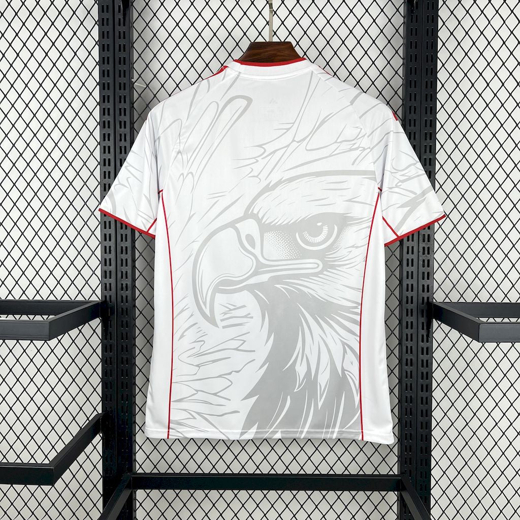 2025/26 Benfica Special Jersey