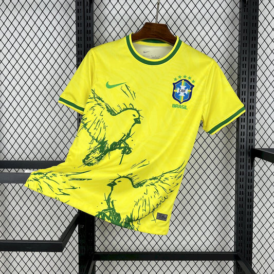2024/25 Brazil Special Jersey